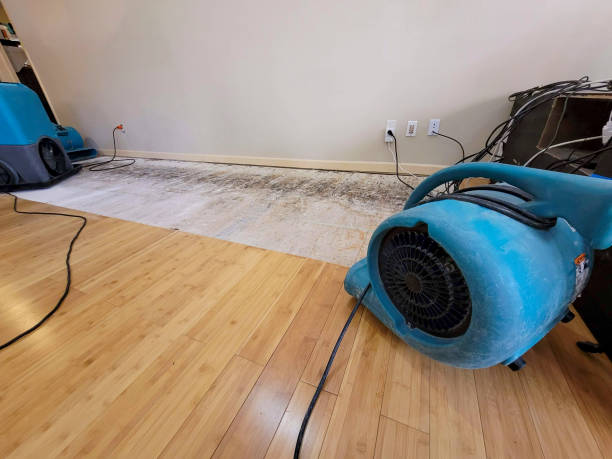 Professional Emergency Water Damage technician working in Moody, AL